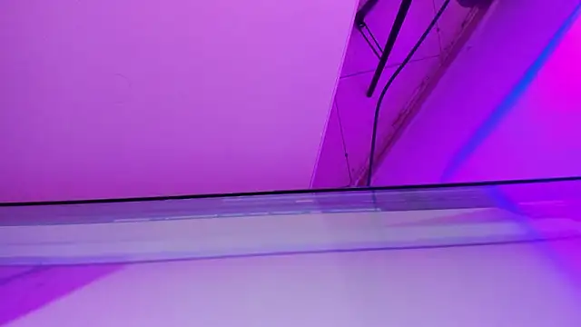 sarah  bigboobs online show from March 2026 10:20:02 AM