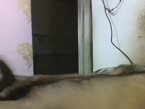 Snapshot of Desi_GfBf chatting on March 2025 05:50:02 PM Desi GfBf online show from March 2025 05:50:02 PM