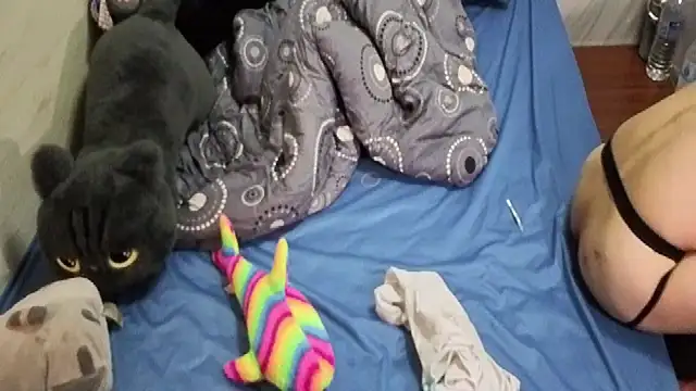 Snapshot of Big19Asia chatting on September 2025 03:37:02 PM Big19Asia online show from September 2025 03:37:02 PM