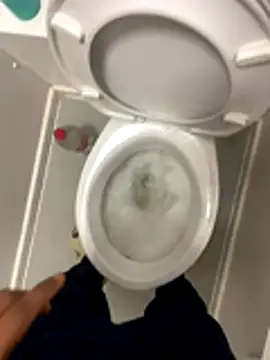 Snapshot of Rastamanzigy22 chatting on November 2025 06:19:02 AM Rastamanzigy22 online show from November 2025 06:19:02 AM