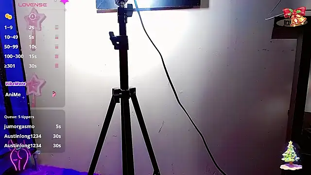 nicol gill  online show from December 2024 02:26:02 PM