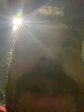 PocoLoco420 online show from June 2026 01:05:02 AM