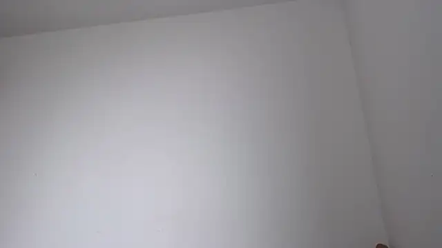 thomas gun online show from February 2026 02:56:02 PM