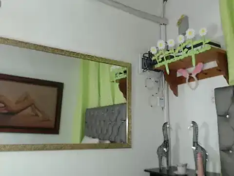 Snapshot of any_rox chatting on February 2025 05:21:02 PM any rox online show from February 2025 05:21:02 PM