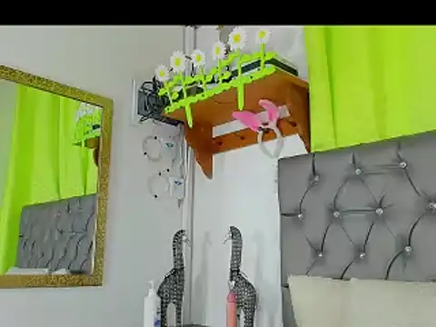 Snapshot of any_rox chatting on March 2025 04:09:02 PM any rox online show from March 2025 04:09:02 PM