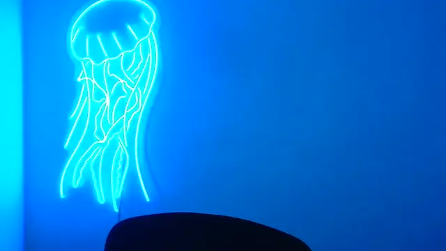 Fantasy July online show from March 2025 09:33:02 AM