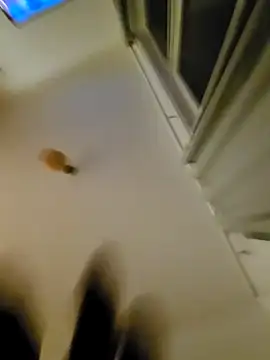 eric69 69 online show from November 2025 12:32:01 AM