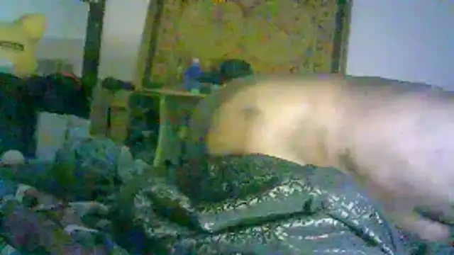 DI4MOND FIR3 online show from February 2026 12:48:02 PM