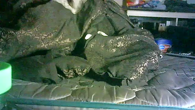 DI4MOND FIR3 online show from June 2026 02:53:01 AM