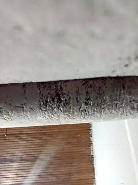 dulce celeste15 online show from March 2026 01:40:02 AM