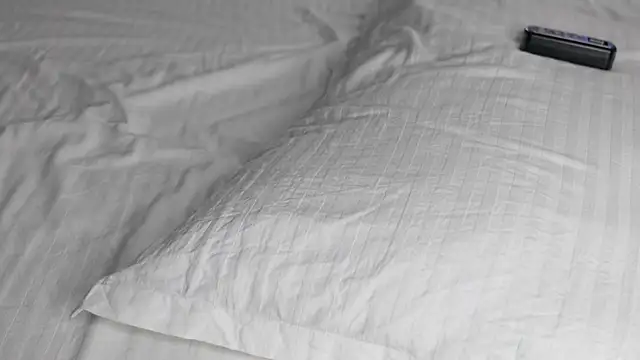 Snapshot of celestara chatting on December 2024 12:05:01 PM celestara online show from December 2024 12:05:01 PM