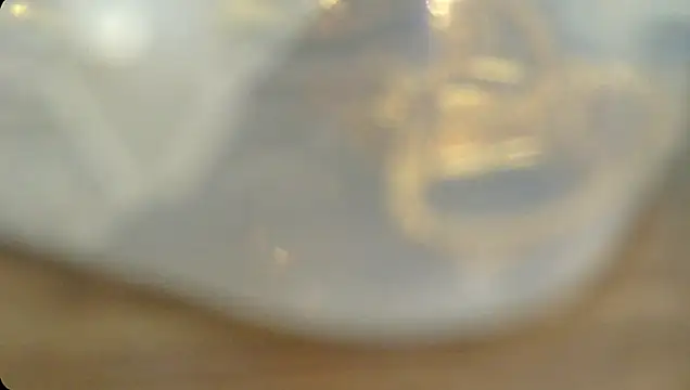 Snapshot of Rashisharma chatting on October 2025 12:06:01 PM Rashisharma online show from October 2025 12:06:01 PM