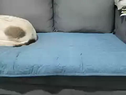 4small4inchlol online show from February 2025 12:15:02 PM