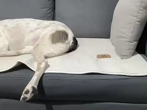 4small4inchlol online show from March 2025 07:35:02 PM