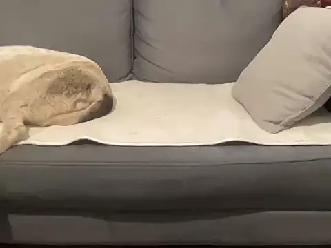 4small4inchlol online show from September 2025 09:00:01 AM