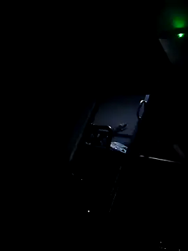 Bullgardenrnc123 online show from October 2025 07:03:02 PM