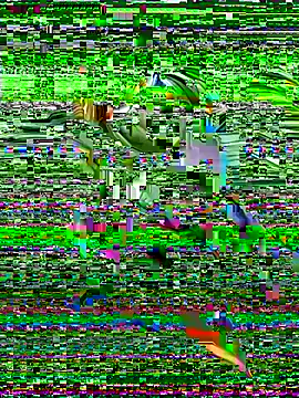 Nathan12- online show from October 2025 04:29:02 PM