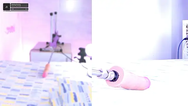 Snapshot of pamela_cm chatting on February 2026 11:55:01 AM pamela cm online show from February 2026 11:55:01 AM