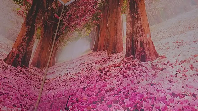 Wet nympho online show from May 2026 06:52:01 AM