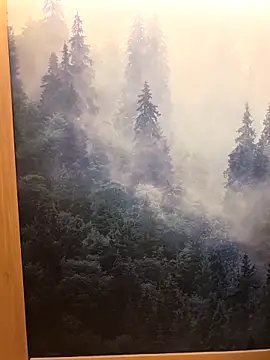 Snapshot of ladoucedu34 chatting on March 2026 03:15:01 PM ladoucedu34 online show from March 2026 03:15:01 PM