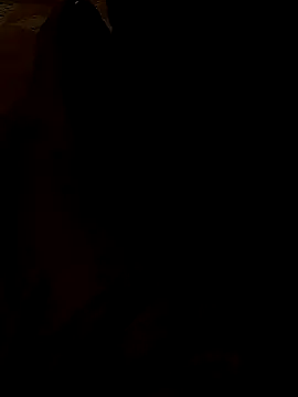 whvysky3 online show from January 2025 04:15:01 PM