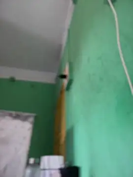 aryanush online show from February 2025 05:18:02 AM