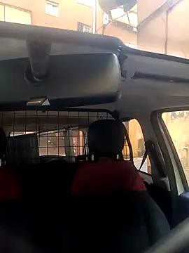 Snapshot of Porco81cazzo chatting on November 2025 08:50:02 AM Porco81cazzo online show from November 2025 08:50:02 AM