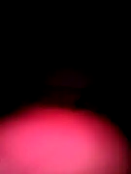 Snapshot of Porco81cazzo chatting on December 2025 03:38:02 AM Porco81cazzo online show from December 2025 03:38:02 AM