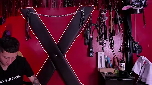 Snapshot of alexa_n_alex chatting on December 2025 08:17:01 PM alexa n alex online show from December 2025 08:17:01 PM