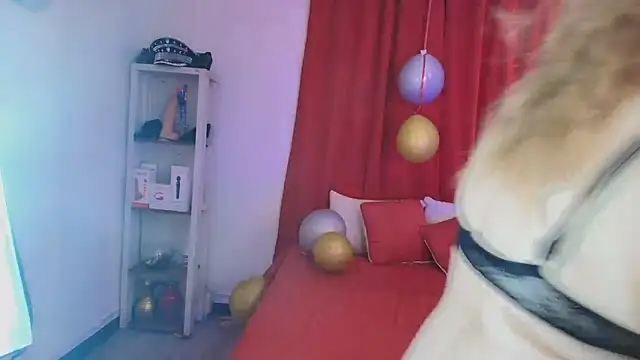 girl amada online show from February 2026 08:24:01 PM