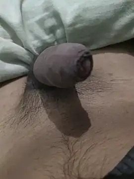 Snapshot of iaparna chatting on January 2025 05:54:01 PM iaparna online show from January 2025 05:54:01 PM