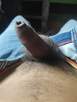 Snapshot of iaparna chatting on November 2025 07:42:01 AM iaparna online show from November 2025 07:42:01 AM