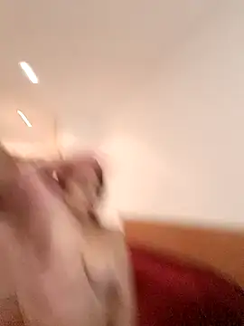 THIAGOEVA online show from December 2024 12:05:02 PM