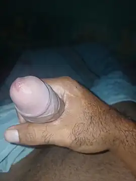 taylorWiiz online show from December 2025 04:28:02 AM