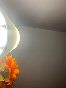 Snapshot of KenyaMystic chatting on October 2025 09:43:01 AM KenyaMystic online show from October 2025 09:43:01 AM