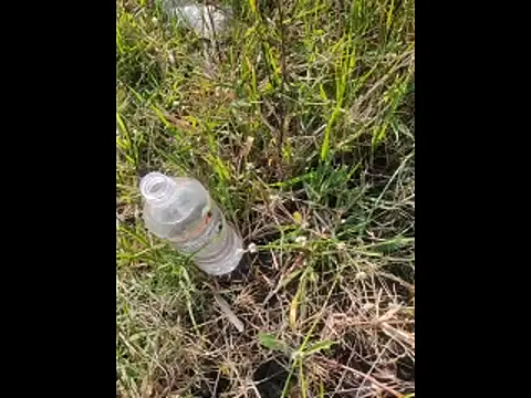 Snapshot of boy_BeardGallery chatting on November 2025 09:52:01 AM boy BeardGallery online show from November 2025 09:52:01 AM