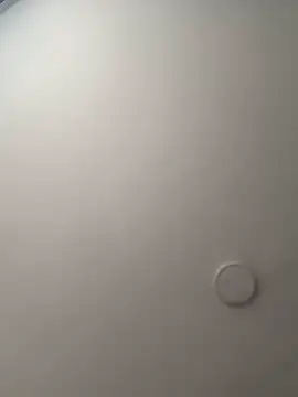 Arilw online show from October 2025 12:08:02 PM