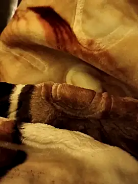 Snapshot of yhona_darling chatting on December 2025 05:18:02 PM yhona darling online show from December 2025 05:18:02 PM