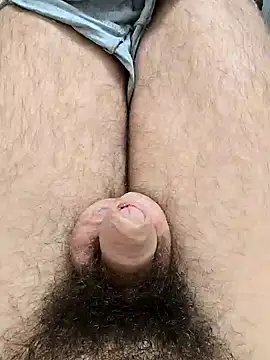 Snapshot of hungarian_dick chatting on January 2025 01:30:01 PM hungarian dick online show from January 2025 01:30:01 PM