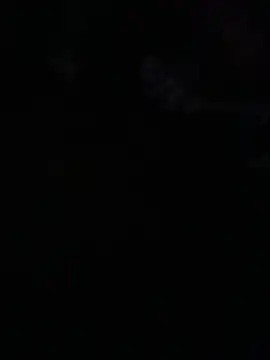 avans 15 online show from May 2026 12:06:02 AM