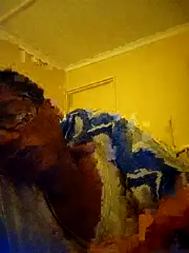 Snapshot of bustybillies chatting on February 2026 09:04:01 PM bustybillies online show from February 2026 09:04:01 PM