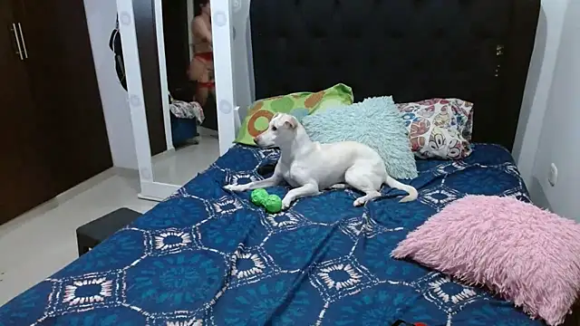 Snapshot of amazonafit_ chatting on February 2025 04:14:02 AM amazonafit online show from February 2025 04:14:02 AM