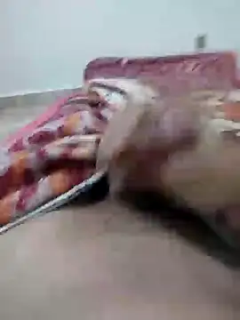 lm279 online show from January 2025 11:58:02 AM