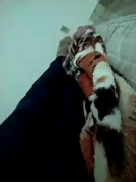 lm279 online show from February 2025 03:47:02 PM