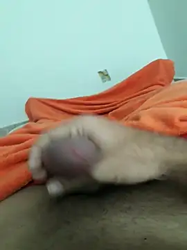 lm279 online show from October 2025 09:10:01 AM