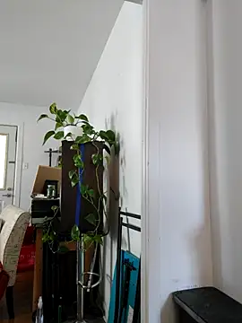 QcMisterv13 online show from September 2025 02:22:02 PM