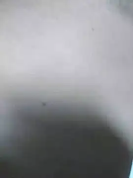 QcMisterv13 online show from July 2026 10:14:01 AM