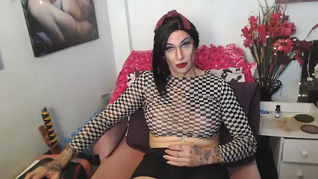 transagera online show from June 2026 02:22:01 AM