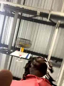 sneakylink13   online show from October 2025 01:17:01 AM