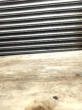 Bhabhi desi12 online show from November 2025 09:18:02 AM